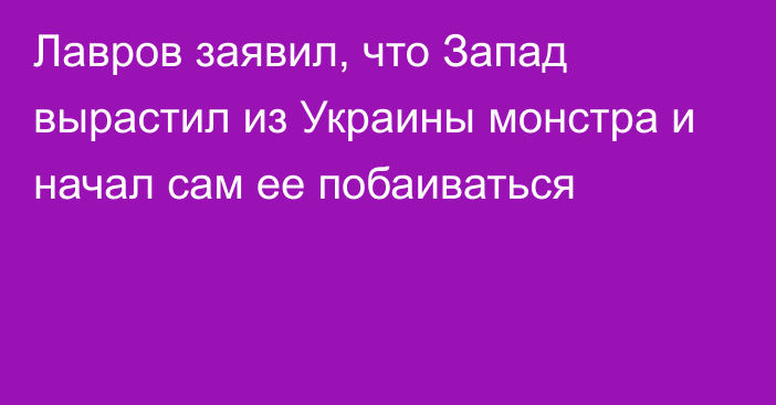 Лавров заявил, что Запад вырастил из Украины монстра и начал сам ее побаиваться