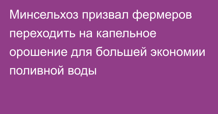 Минсельхоз призвал фермеров переходить на капельное орошение для большей экономии поливной воды