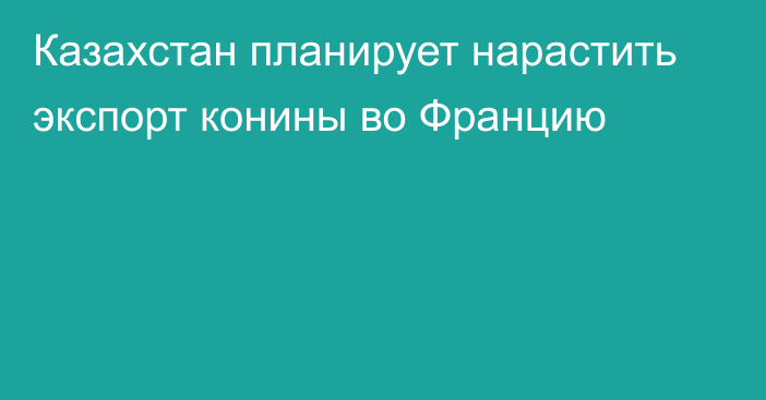 Казахстан планирует нарастить экспорт конины во Францию