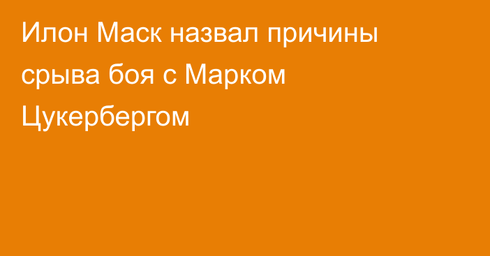 Илон Маск назвал причины срыва боя с Марком Цукербергом