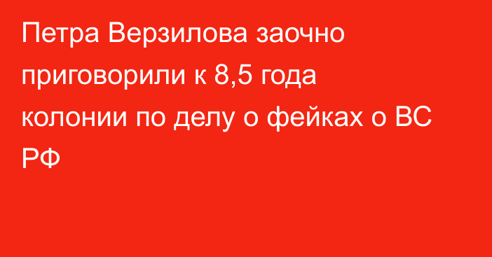 Петра Верзилова заочно приговорили к 8,5 года колонии по делу о фейках о ВС РФ