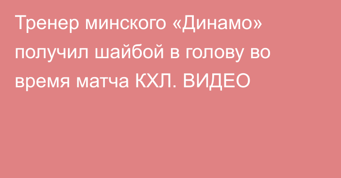 Тренер минского «Динамо» получил шайбой в голову во время матча КХЛ. ВИДЕО