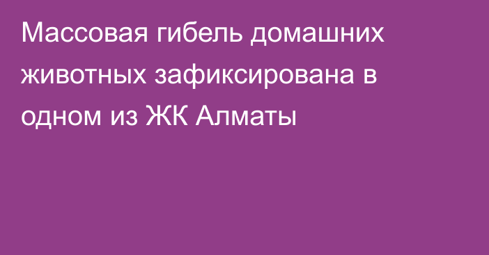 Массовая гибель домашних животных зафиксирована в одном из ЖК Алматы