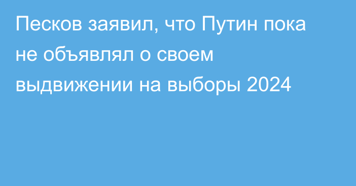 Песков заявил, что Путин пока не объявлял о своем выдвижении на выборы 2024