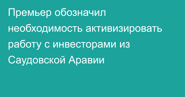 Премьер обозначил необходимость активизировать работу с инвесторами из Саудовской Аравии