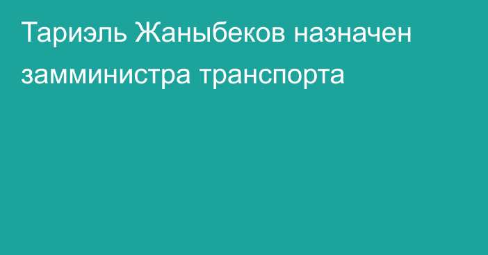 Тариэль Жаныбеков  назначен замминистра транспорта