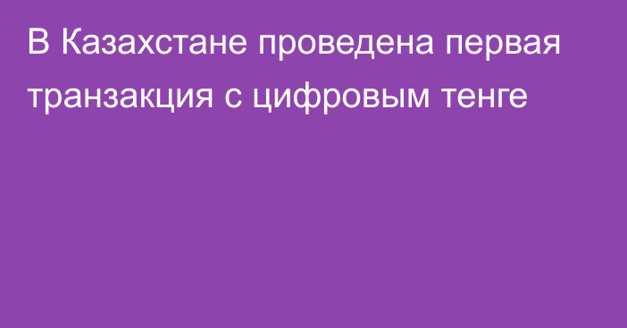 В Казахстане проведена первая транзакция с цифровым тенге