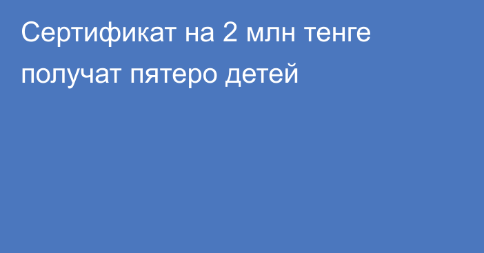 Сертификат на 2 млн тенге получат пятеро детей