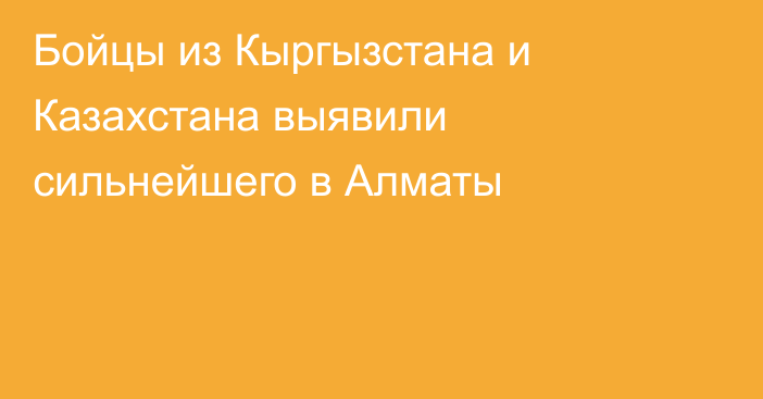 Бойцы из Кыргызстана и Казахстана выявили сильнейшего в Алматы