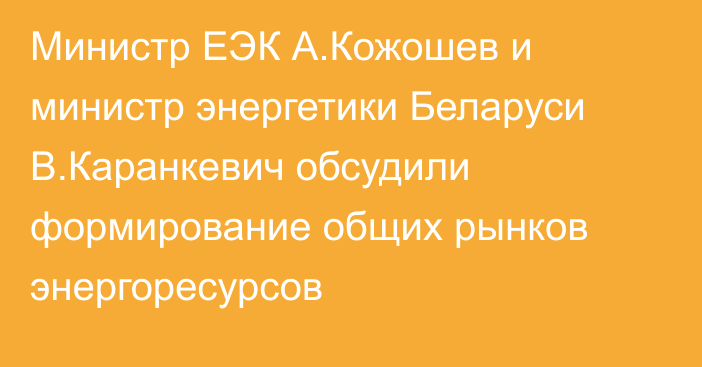 Министр ЕЭК А.Кожошев и министр энергетики Беларуси В.Каранкевич обсудили формирование общих рынков энергоресурсов