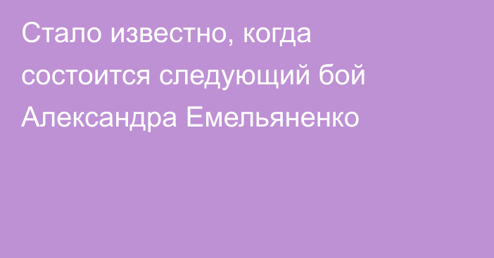 Стало известно, когда состоится следующий бой Александра Емельяненко