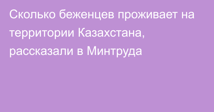 Сколько беженцев проживает на территории Казахстана, рассказали в Минтруда