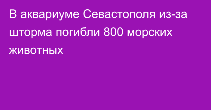 В аквариуме Севастополя из-за шторма погибли 800 морских животных