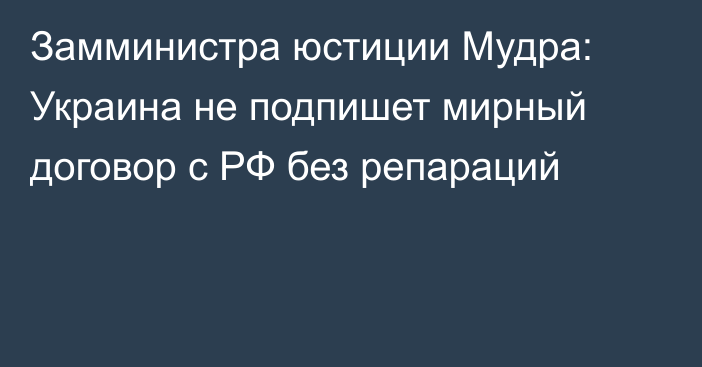 Замминистра юстиции Мудра: Украина не подпишет мирный договор с РФ без репараций