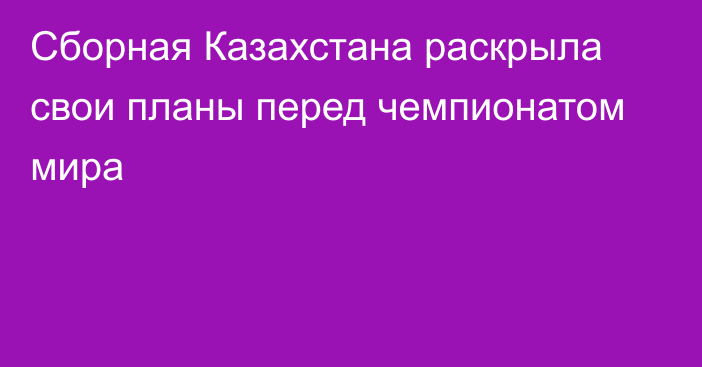 Сборная Казахстана раскрыла свои планы перед чемпионатом мира