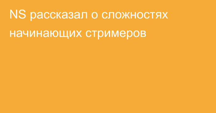 NS рассказал о сложностях начинающих стримеров