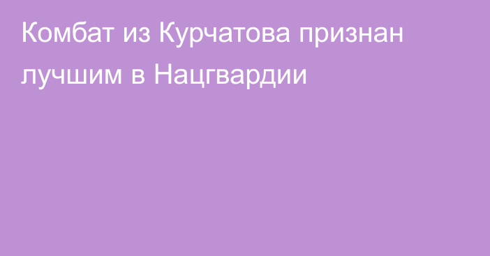 Комбат из Курчатова признан лучшим в Нацгвардии