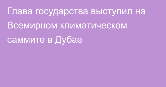 Глава государства выступил на Всемирном климатическом саммите в Дубае