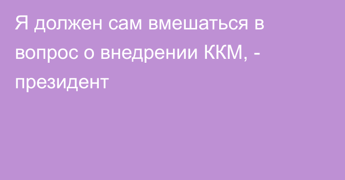 Я должен сам вмешаться в вопрос о внедрении ККМ, - президент