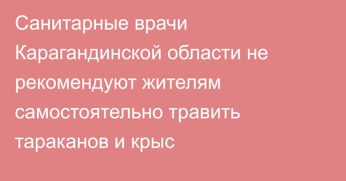 Санитарные врачи Карагандинской области не рекомендуют жителям самостоятельно травить тараканов и крыс