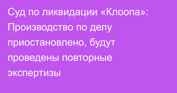 Суд по ликвидации «Клоопа»: Производство по делу приостановлено, будут проведены повторные экспертизы