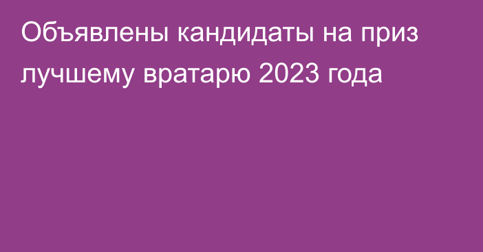 Объявлены кандидаты на приз лучшему вратарю 2023 года