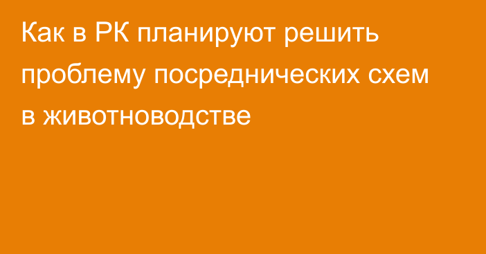 Как в РК планируют решить проблему посреднических схем в животноводстве