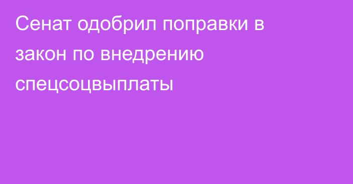 Сенат одобрил поправки в закон по внедрению спецсоцвыплаты