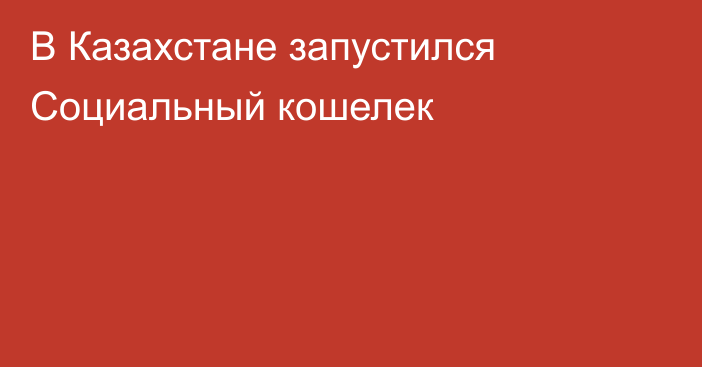 В Казахстане запустился Социальный кошелек