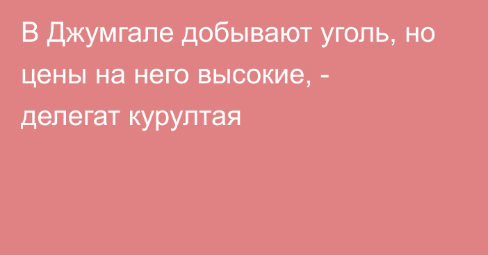 В Джумгале добывают уголь, но цены на него высокие, - делегат курултая