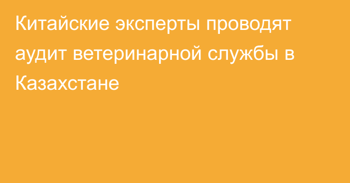 Китайские эксперты проводят аудит ветеринарной службы в Казахстане