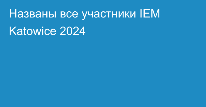 Названы все участники IEM Katowice 2024