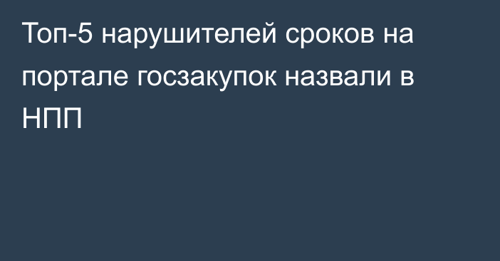 Топ-5 нарушителей сроков на портале госзакупок назвали в НПП