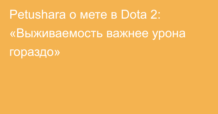 Petushara о мете в Dota 2: «Выживаемость важнее урона гораздо»