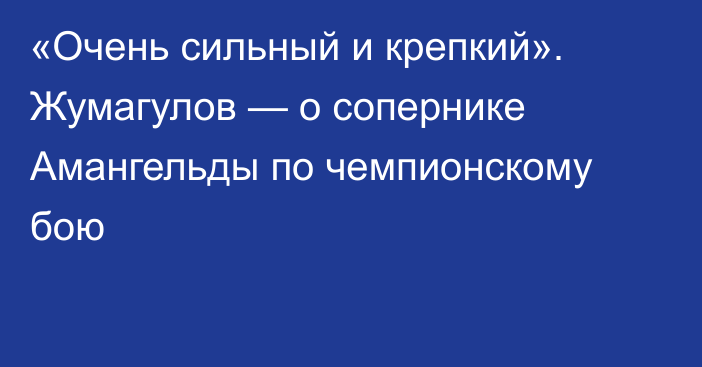 «Очень сильный и крепкий». Жумагулов — о сопернике Амангельды по чемпионскому бою