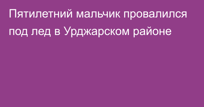 Пятилетний мальчик провалился под лед в Урджарском районе