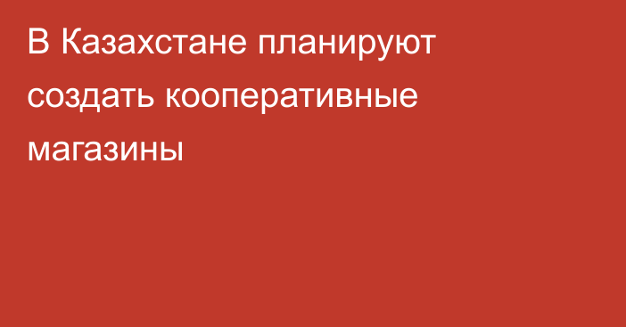 В Казахстане планируют создать кооперативные магазины