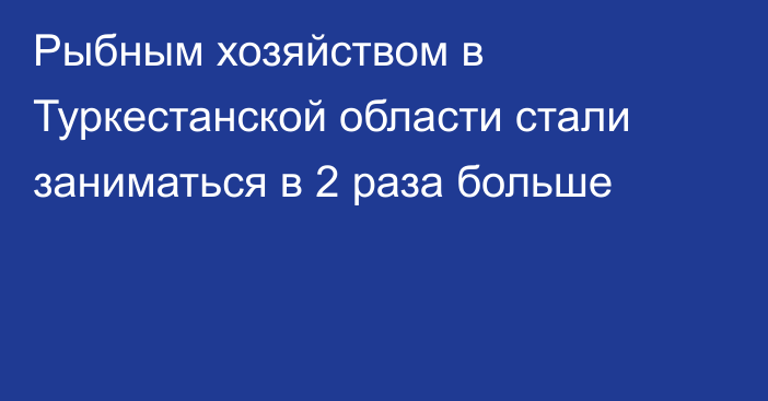 Рыбным хозяйством в Туркестанской области стали заниматься в 2 раза больше