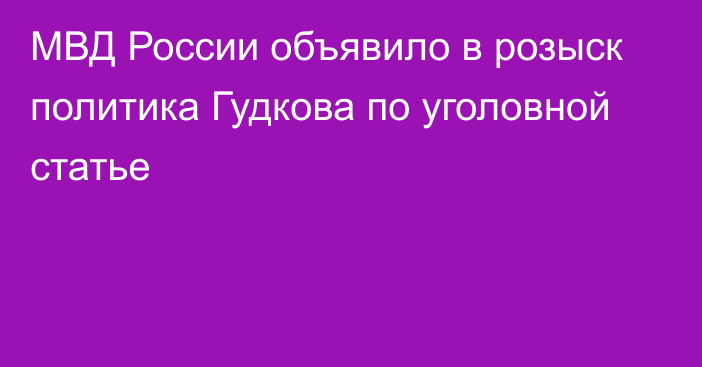 МВД России объявило в розыск политика Гудкова по уголовной статье