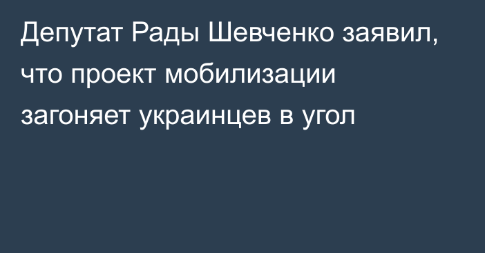 Депутат Рады Шевченко заявил, что проект мобилизации загоняет украинцев в угол