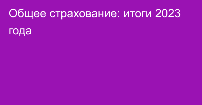 Общее страхование: итоги 2023 года