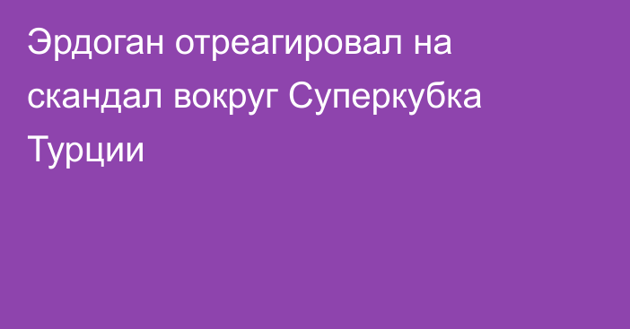 Эрдоган отреагировал на скандал вокруг Суперкубка Турции