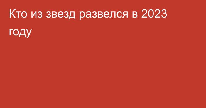 Кто из звезд развелся в 2023 году