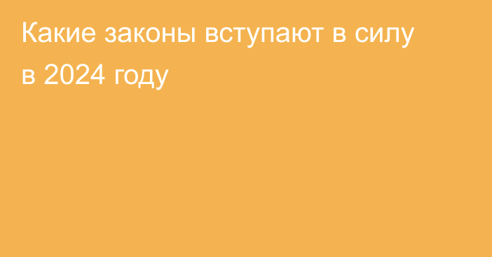 Какие законы вступают в силу в 2024 году