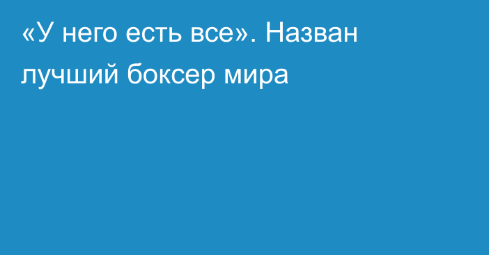 «У него есть все». Назван лучший боксер мира