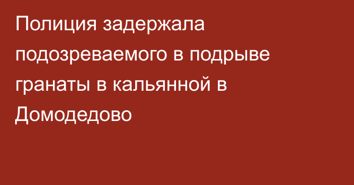 Полиция задержала подозреваемого в подрыве гранаты в кальянной в Домодедово