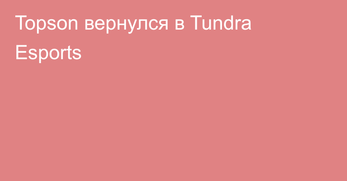 Topson вернулся в Tundra Esports