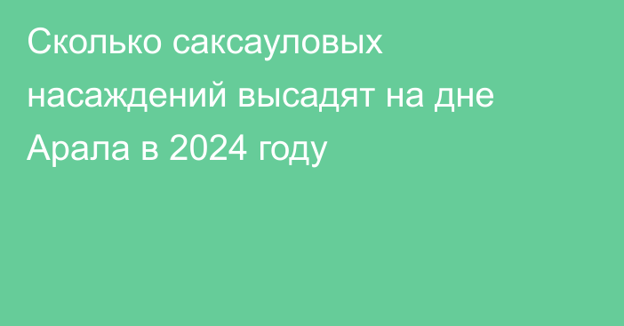 Сколько саксауловых насаждений высадят на дне Арала в 2024 году