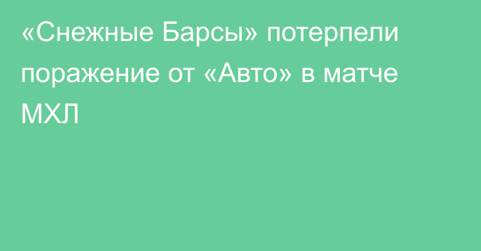 «Снежные Барсы» потерпели поражение от «Авто» в матче МХЛ