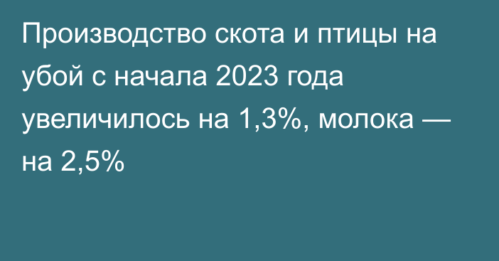 Производство скота и птицы на убой с начала 2023 года увеличилось на 1,3%, молока — на 2,5%